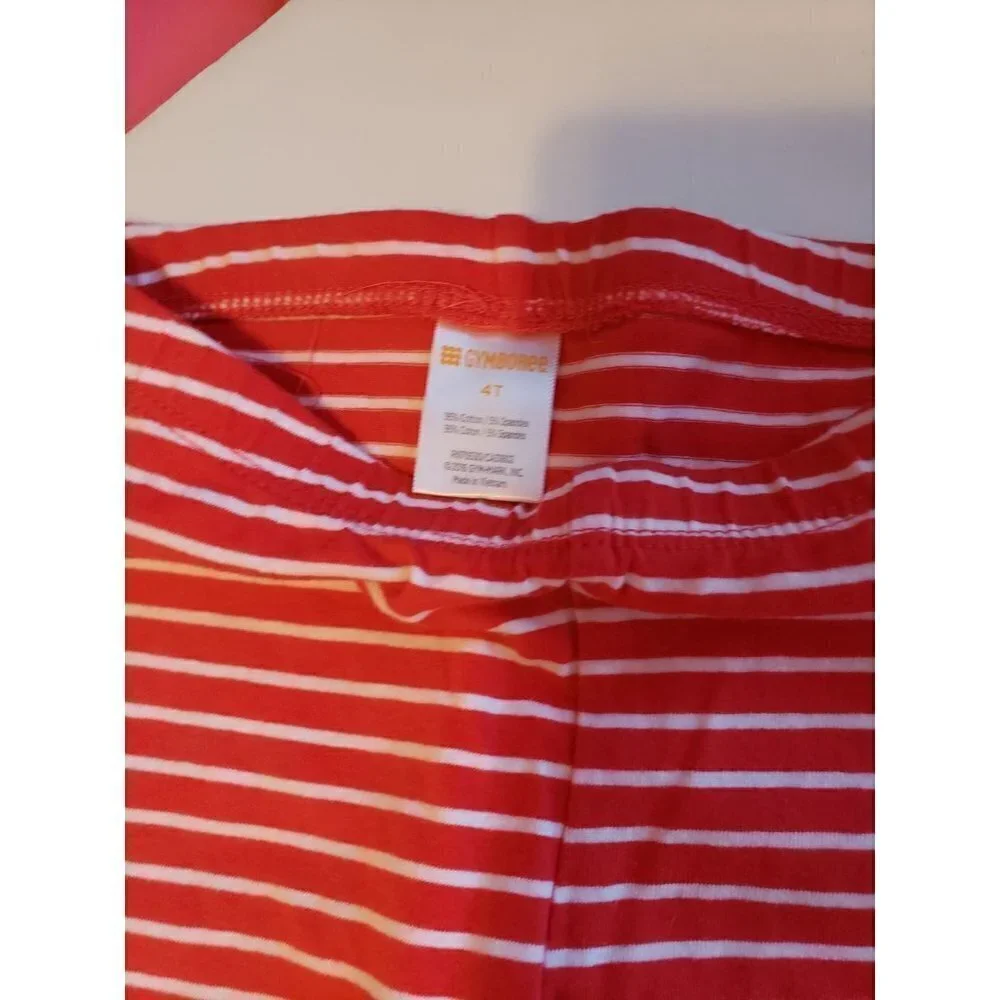 Gymboree Kitty Outfit 4 top and leggings